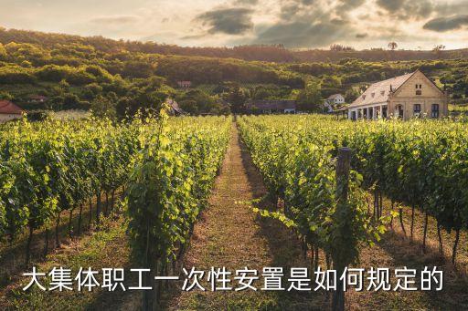 大集體職工一次性安置是如何規定的