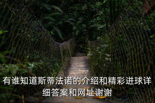 有誰知道斯蒂法諾的介紹和精彩進(jìn)球詳細(xì)答案和網(wǎng)址謝謝