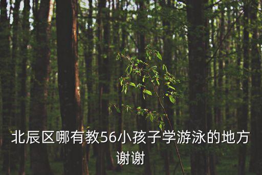 北辰區哪有教56小孩子學游泳的地方謝謝