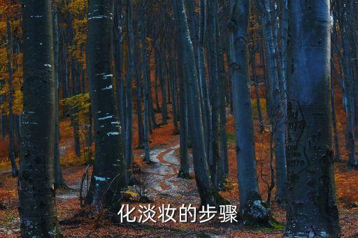 化淡妝的步驟