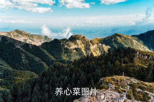 東方月初圖片，我要 Domokun 的圖片