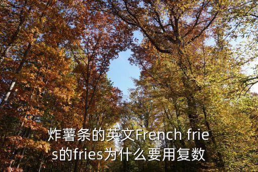 油炸的英文，油煎的用英文單詞怎么說形容詞與fry有關(guān)