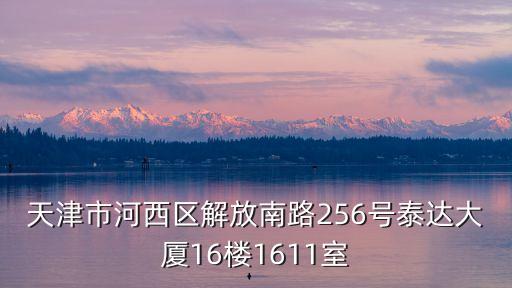 天津市河西區解放南路256號泰達大廈16樓1611室