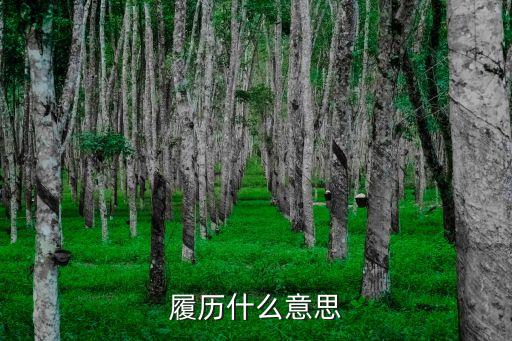 履歷什么意思
