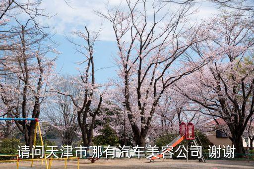 請(qǐng)問(wèn)天津市哪有汽車美容公司 謝謝