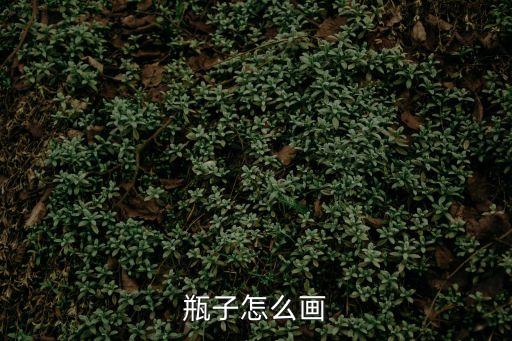 瓶子怎么畫