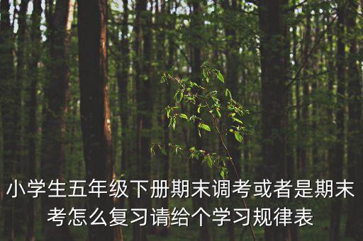 學(xué)習(xí)規(guī)律，學(xué)習(xí)的規(guī)律是什么