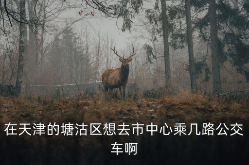 天津市中強果樹種植專業合作社，在塘沽區乘132路車去市中心在哪兒乘啊