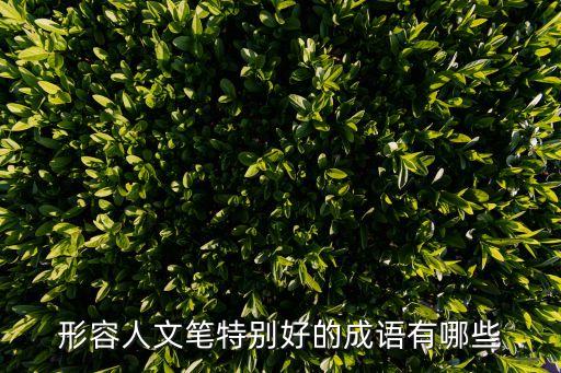 形容人文筆特別好的成語有哪些
