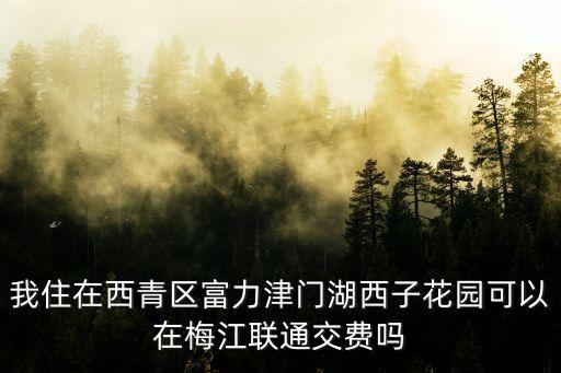 我住在西青區富力津門湖西子花園可以在梅江聯通交費嗎