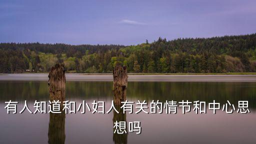 有人知道和小婦人有關的情節和中心思想嗎