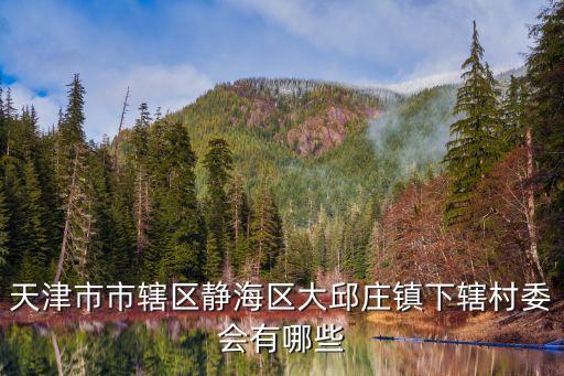 天津市市轄區(qū)靜海區(qū)大邱莊鎮(zhèn)下轄村委會有哪些