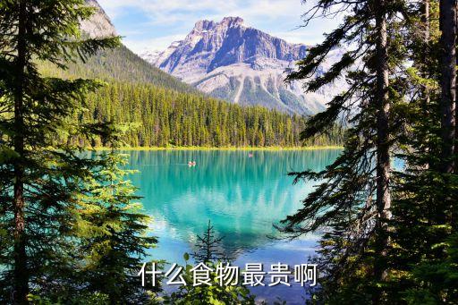 什么食物最貴啊