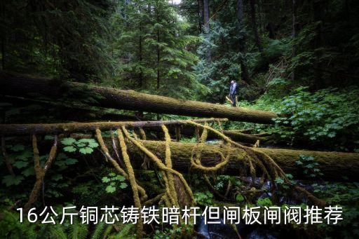 天津市寶坻暗桿閘閥，手動暗桿刀型閘閥有哪些好處啊