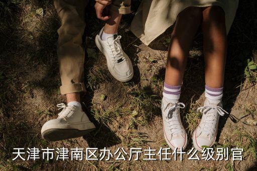 天津市政府服務辦公室主任，天津市津南區辦公廳主任什么級別官