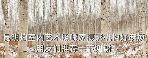 昆明拍室內藝術照哪家攝影機構好麻煩朋友們推薦一下謝謝