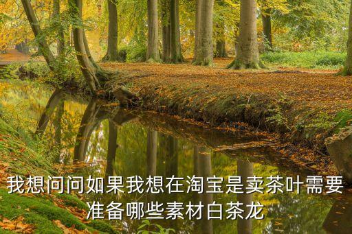 我想問問如果我想在淘寶是賣茶葉需要準備哪些素材白茶龍