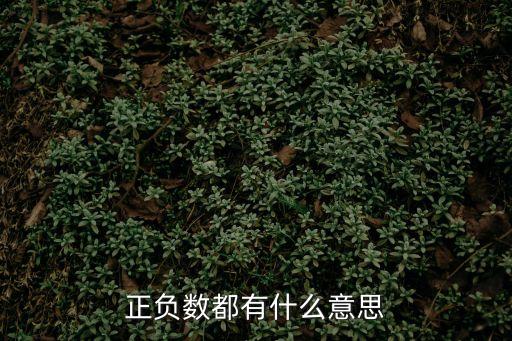 正負(fù)數(shù)都有什么意思
