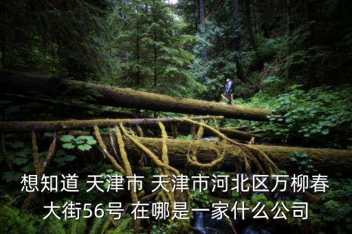 想知道 天津市 天津市河北區萬柳春大街56號 在哪是一家什么公司