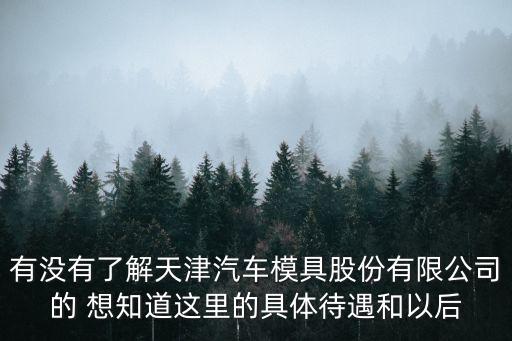 有沒有了解天津汽車模具股份有限公司的 想知道這里的具體待遇和以后