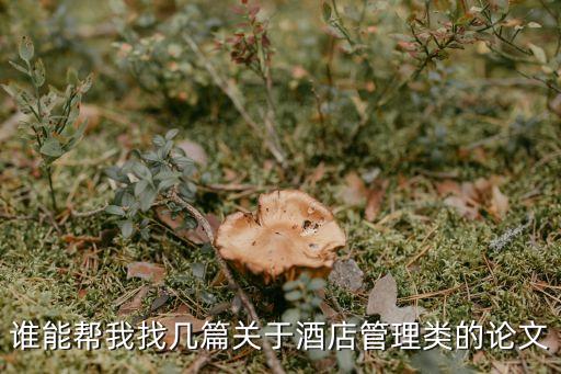 酒店管理論文，論酒店管理的認(rèn)識