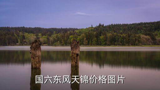 國六東風天錦價格圖片