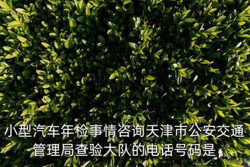 小型汽車年檢事情咨詢天津市公安交通管理局查驗大隊的電話號碼是