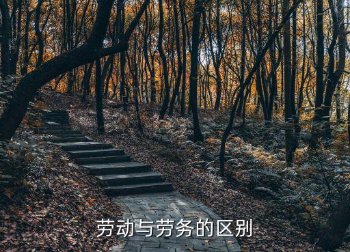 勞動與勞務的區別