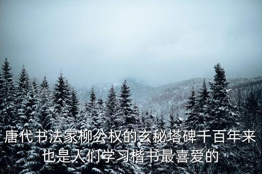 唐代書法家柳公權的玄秘塔碑千百年來也是人們學習楷書最喜愛的