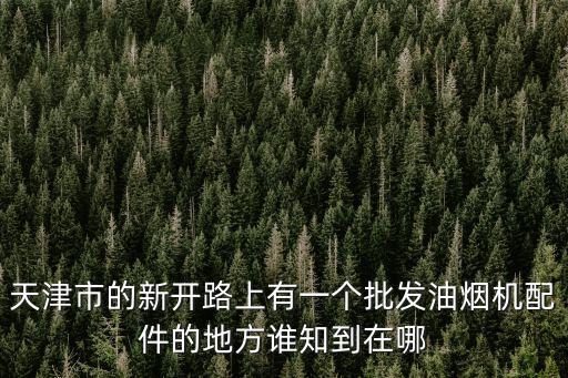 天津市的新開路上有一個(gè)批發(fā)油煙機(jī)配件的地方誰(shuí)知到在哪