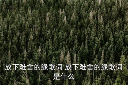 放下難舍的緣歌詞 放下難舍的緣歌詞是什么