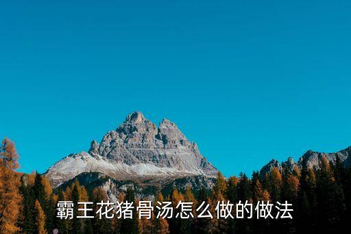 霸王花豬骨湯怎么做的做法