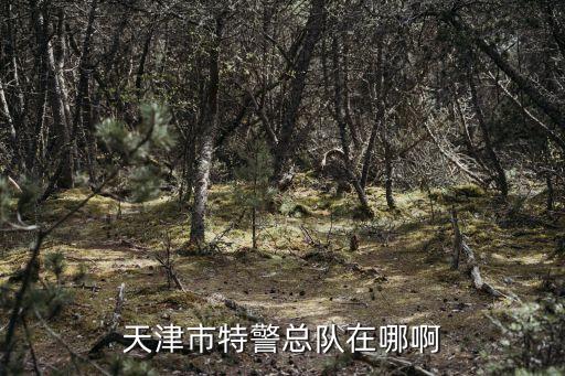 天津市特巡警總隊(duì)，天津有沒有特警部隊(duì)