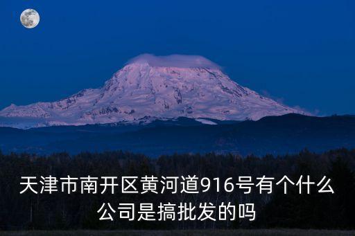 天津市南開區(qū)黃河道916號有個什么公司是搞批發(fā)的嗎