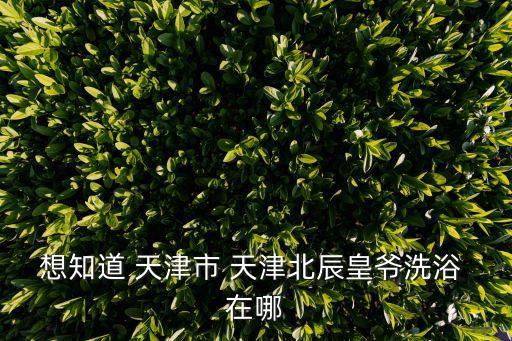 天津市北辰區雙街洗浴，想知道 天津市 天津北辰皇爺洗浴 在哪