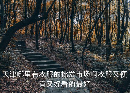 天津哪里有衣服的批發市場啊衣服又便宜又好看的最好