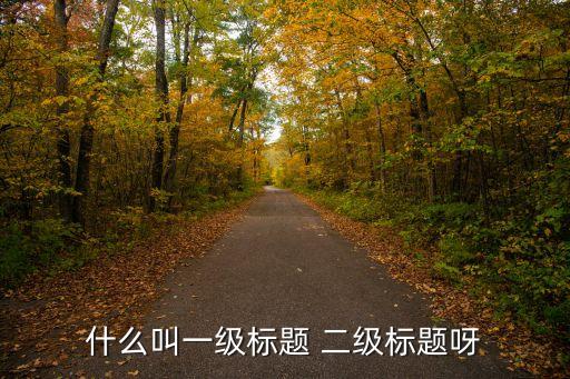 什么叫一級標題 二級標題呀