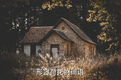 形容荷花的詞語