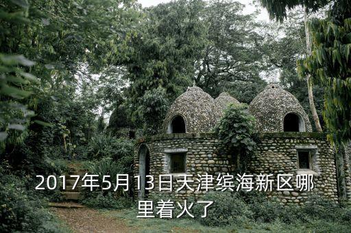2017年 天津市 火災，2017年5月13日天津繽海新區哪里著火了