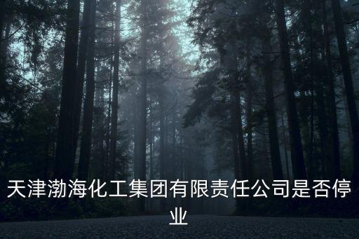 天津渤海化工集團(tuán)有限責(zé)任公司是否停業(yè)