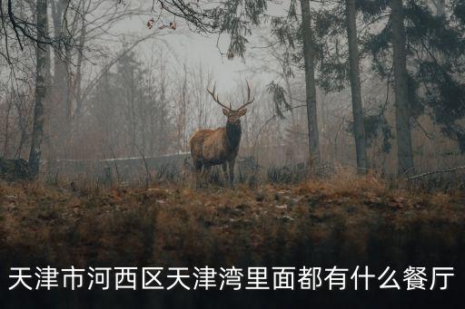 天津市河西區天津灣里面都有什么餐廳