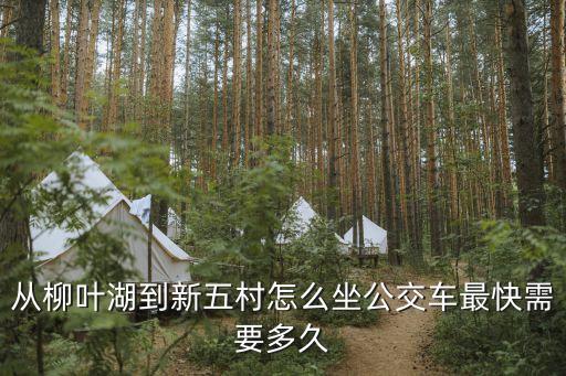 從柳葉湖到新五村怎么坐公交車最快需要多久