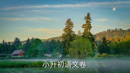 天津市和平區小升初語文試卷，天津小升初語文是統一試卷嗎
