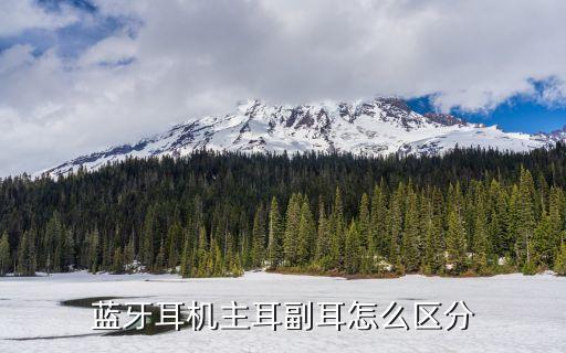 藍牙耳機主耳副耳怎么區分