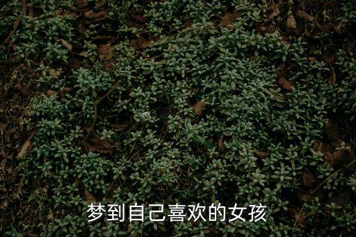夢到自己喜歡的女孩