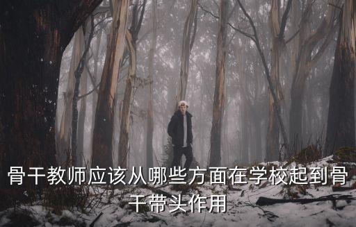 骨干教師應該從哪些方面在學校起到骨干帶頭作用
