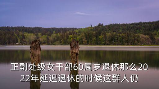 正副處級女干部60周歲退休那么2022年延遲退休的時候這群人仍
