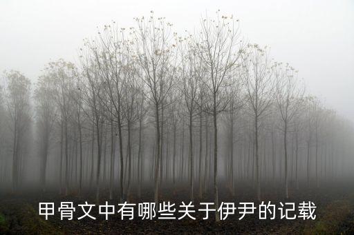 伊尹簡(jiǎn)介，甲骨文中有哪些關(guān)于伊尹的記載