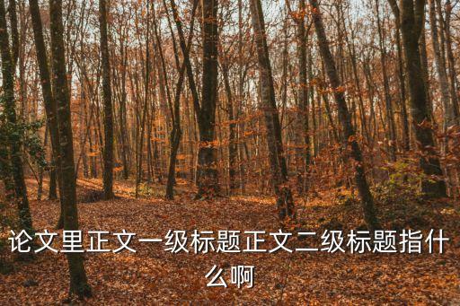 論文里正文一級標題正文二級標題指什么啊