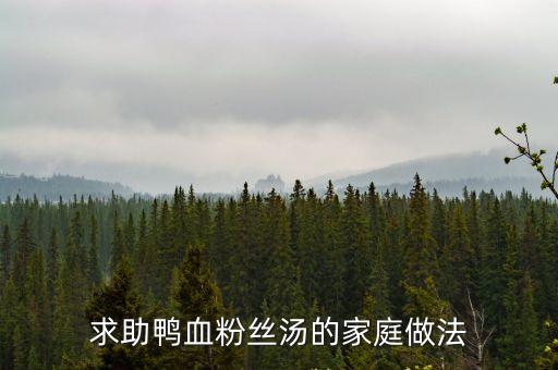 求助鴨血粉絲湯的家庭做法
